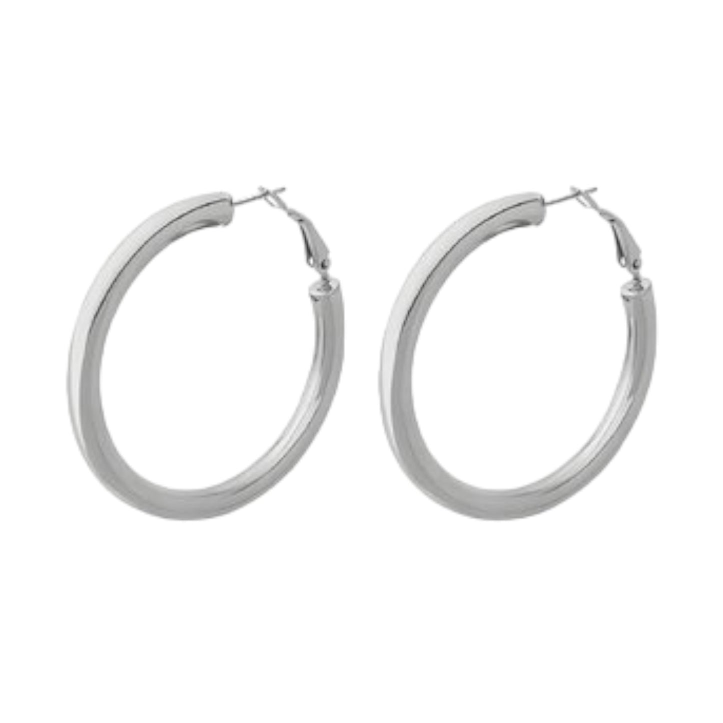 Stainless Steel Earrings Hoops