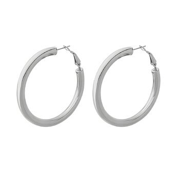 Stainless Steel Earrings Hoops