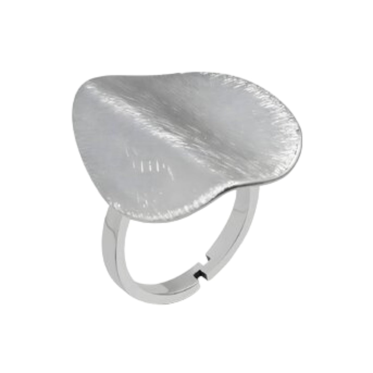 Stainless steel ring