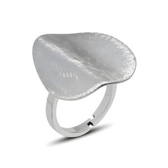 Stainless steel ring